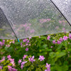 梅雨の季節のお墓参り