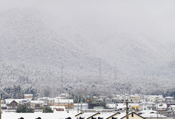 離れて暮らす家族が直面する「お墓の管理」問題とは
