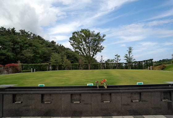 「樹木葬」ならどれも同じ？ 選ぶ前に知っておきたいこと