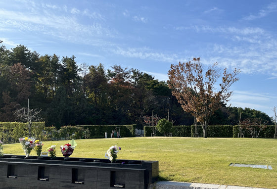 お墓と樹木葬のそれぞれの魅力