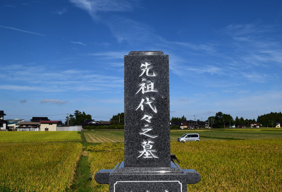 共同墓地の墓じまいでも大丈夫、進め方と対処法